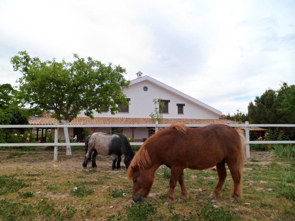 Los Laureles Casa Rural Urda Exterior foto
